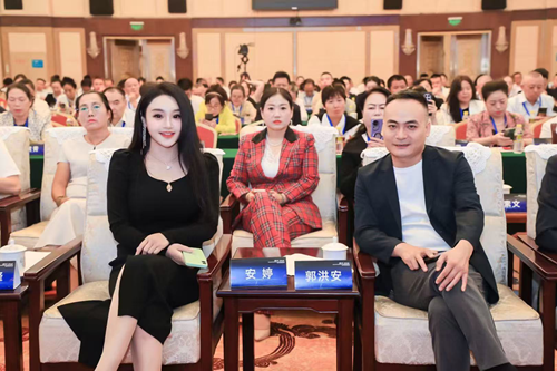 代言人安婷受邀出席2025数字电商赋能实体经济大会(图3)