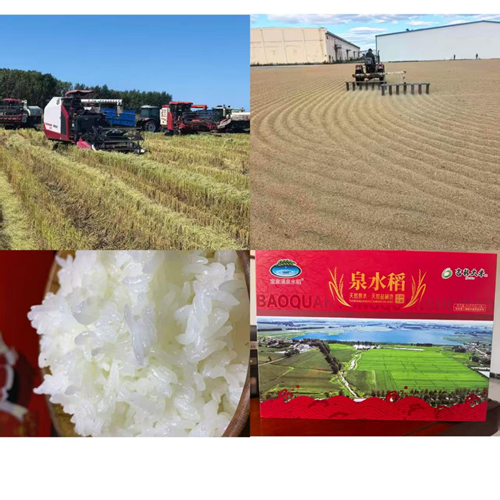 农安县三岗镇永远村：兵支书领航振兴路，特色物产誉乡邻(图5)