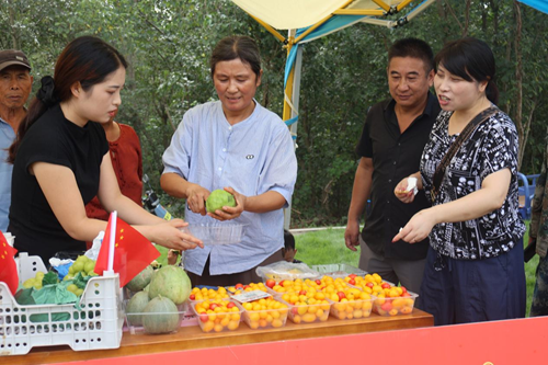 定远县：梅白来草坪音乐嘉年华暨第十二届定远池河梅白鱼文化旅游节盛大开幕(图4)