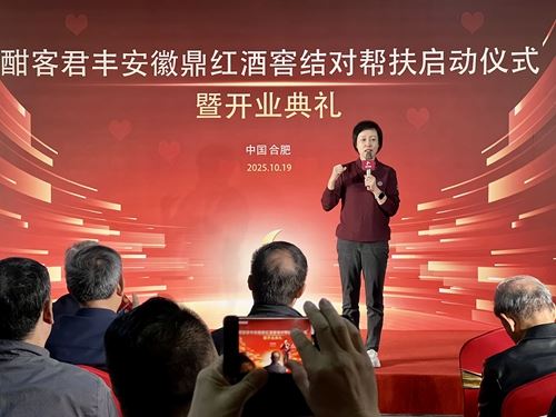 结对帮扶暖人心 政企同心促发展——安徽鼎红商贸与庐阳、新站区街道签署帮扶协议并启动事业新篇(图4)