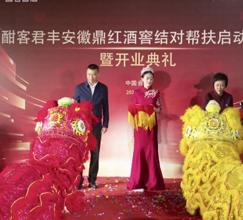 结对帮扶暖人心 政企同心促发展——安徽鼎红商贸与庐阳、新站区街道签署帮扶协议并启动事业新篇(图6)