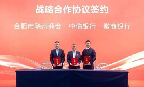 	庐州潮涌双城和鸣 琅琊新韵扬帆启程合肥市滁州商会第三届会员代表大会暨换届大会隆重举行(图12)