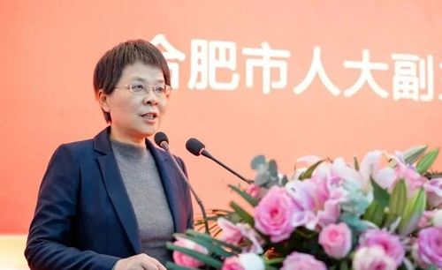 	庐州潮涌双城和鸣 琅琊新韵扬帆启程合肥市滁州商会第三届会员代表大会暨换届大会隆重举行(图14)