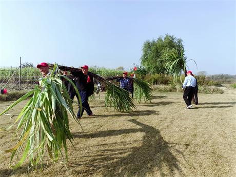 助农归来心欢喜—— 小记平安保险周方芹团队爱心助农活动(图3)