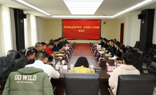 法企共建强法治 护航营商助振兴 —— 吉林省企业权益保护协会联合长春市新区人民法院召开涉企营商环境座谈会(图4)